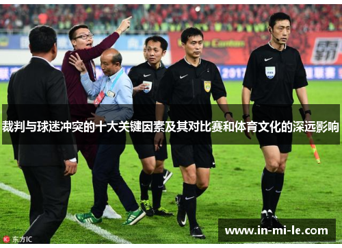 裁判与球迷冲突的十大关键因素及其对比赛和体育文化的深远影响