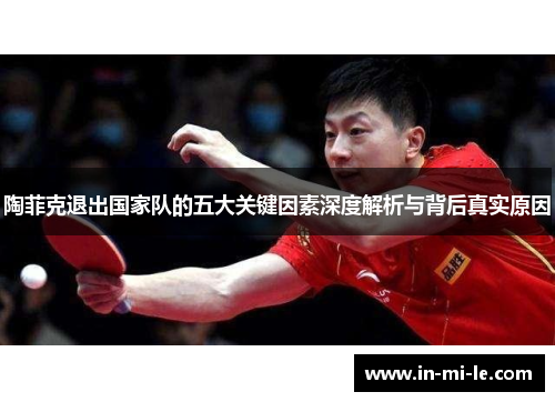 陶菲克退出国家队的五大关键因素深度解析与背后真实原因