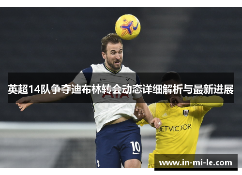 英超14队争夺迪布林转会动态详细解析与最新进展
