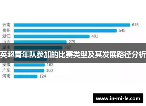 英超青年队参加的比赛类型及其发展路径分析 英超青年队参加的比赛类型及其发展路径分析