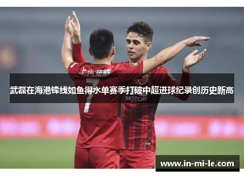 武磊在海港锋线如鱼得水单赛季打破中超进球纪录创历史新高