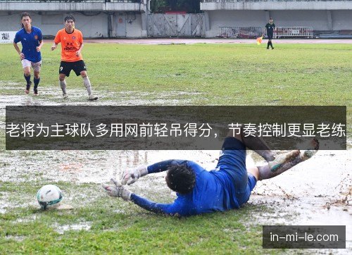 老将为主球队多用网前轻吊得分，节奏控制更显老练